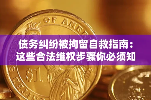 济南债务纠纷被拘留自救指南：这些合法维权步骤你必须知道！