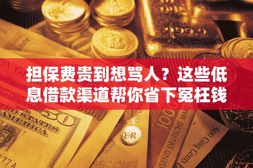 济南担保费贵到想骂人？这些低息借款渠道帮你省下冤枉钱