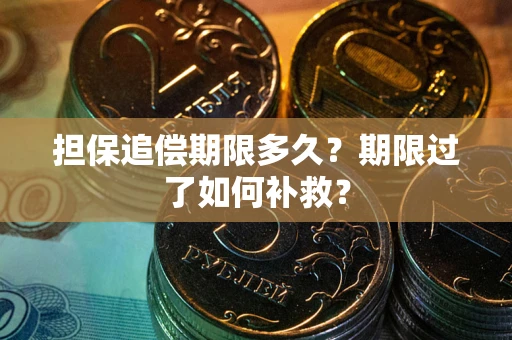 济南担保追偿期限多久？期限过了如何补救？