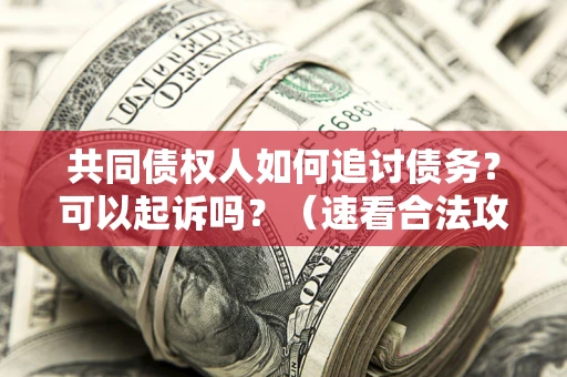 济南共同债权人如何追讨债务？可以起诉吗？（速看合法攻略）