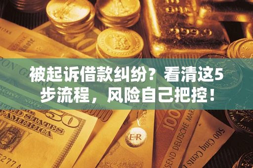 济南被起诉借款纠纷？看清这5步流程，风险自己把控！