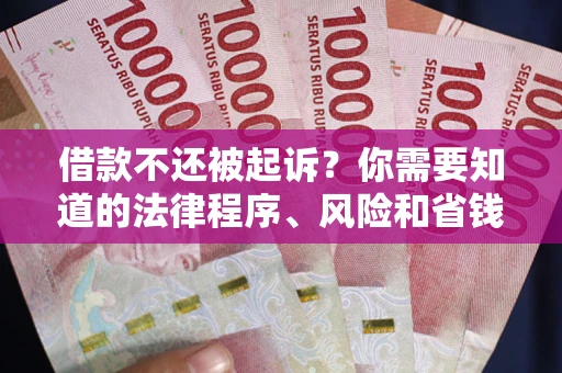 济南借款不还被起诉？你需要知道的法律程序、风险和省钱技巧