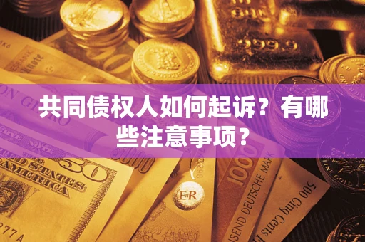 济南共同债权人如何起诉？有哪些注意事项？